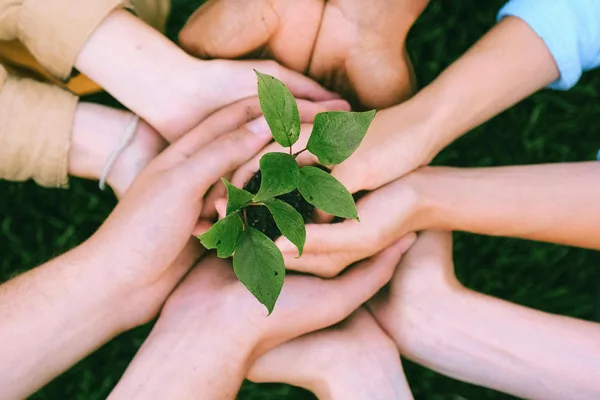 Ressourcement des bénévoles