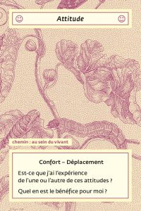 Carte Attitude